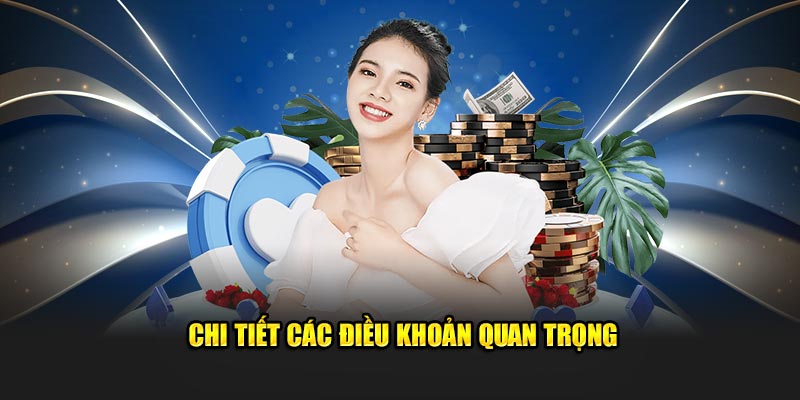 Chi tiết điều khoản quan trọng cần biết