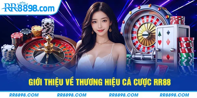 Tổng quan thương hiệu cá cược RR88